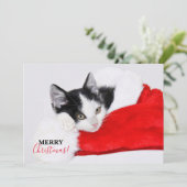 サンタ帽の可愛い子猫 シーズンカード (スタンド正面)