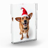 サンタ帽の犬 フォトブロック (左)