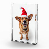 サンタ帽の犬 フォトブロック (右)
