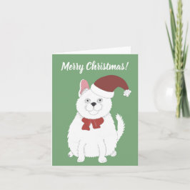 サンタ帽の猫 シーズンカード