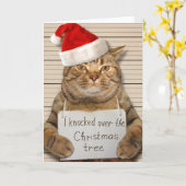 サンタ帽の罪を認めた猫のクリスマスカード カード (黄色い花)