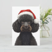 サンタ帽をかぶったお祭りブラックプードル犬のイラスト シーズンカード (スタンド正面)