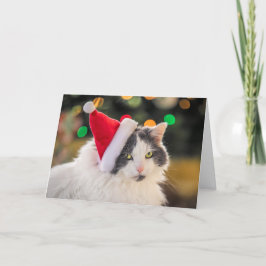 サンタ帽をかぶったかわいい猫のクリスマス シーズンカード
