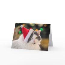サンタ帽をかぶったかわいい猫のクリスマス