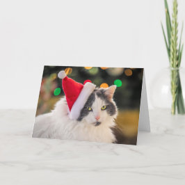 サンタ帽をかぶったかわいい猫のクリスマス シーズンカード
