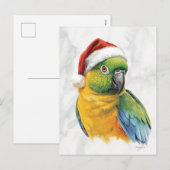 サンタ帽をかぶったカラフルなインコの肖像画 シーズンポストカード (正面/裏面)