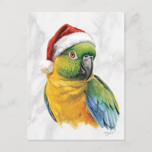 サンタ帽をかぶったカラフルなインコの肖像画 シーズンポストカード (正面)