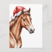 サンタ帽をかぶったクリスマスの馬 シーズンポストカード (正面)