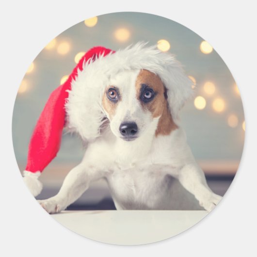 サンタ帽をかぶったクリスマス犬 ステッカー (正面)