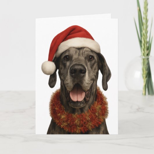 サンタ帽をかぶったグレートデーンのクリスマスカード カード (正面)