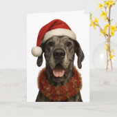 サンタ帽をかぶったグレートデーンのクリスマスカード カード (黄色い花)