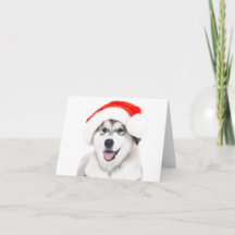 サンタ帽をかぶったハスキー子犬のクリスマスカード