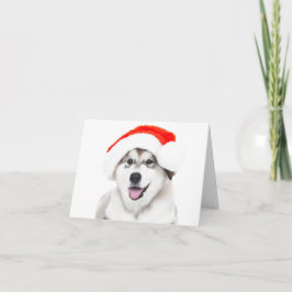 サンタ帽をかぶったハスキー子犬のクリスマスカード サンキューカード