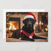 サンタ帽をかぶったブラックラブ シーズンカード (正面/裏面)