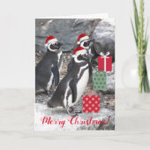 サンタ帽をかぶったペンギンおもしろいズ シーズンカード (正面)