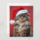 サンタ帽をかぶったメーン・クーン猫のクリスマス シーズンポストカード (正面/裏面)
