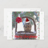 サンタ帽をかぶったリス シーズンポストカード (正面/裏面)