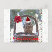 サンタ帽をかぶったリス シーズンポストカード (正面)