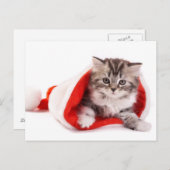 サンタ帽をかぶった子猫 シーズンポストカード (正面/裏面)