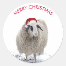 サンタ帽をかぶった羊 カスタマイズ可能なステッカー
