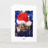 サンタ帽をかぶった頭の付いたマッドカメ シーズンカード (裏面)