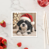 サンタ帽を被ったクリスマスの柴犬 スタンダードカクテルナプキン (インサイチュ)