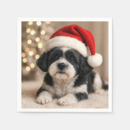 サンタ帽を被ったクリスマスの柴犬 スタンダードカクテルナプキン