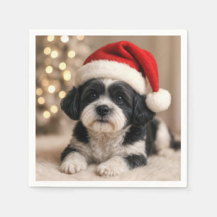 サンタ帽を被ったクリスマスの柴犬 スタンダードカクテルナプキン