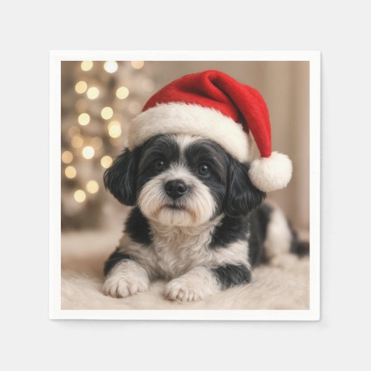 サンタ帽を被ったクリスマスの柴犬 スタンダードカクテルナプキン (正面)