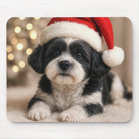 サンタ帽を被ったクリスマスの柴犬 マウスパッド (正面)