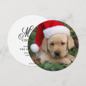 サンタ帽を被ったラブラドール・レトリバーの子犬 シーズンカード (正面/裏面)