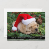 サンタ帽を被ったラブラドール・レトリバーの子犬 シーズンポストカード (正面/裏面)