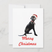 サンタ帽を被った美しいグレートデーン ノートカード (裏面)