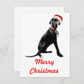 サンタ帽を被った美しいグレートデーン ノートカード (正面/裏面)