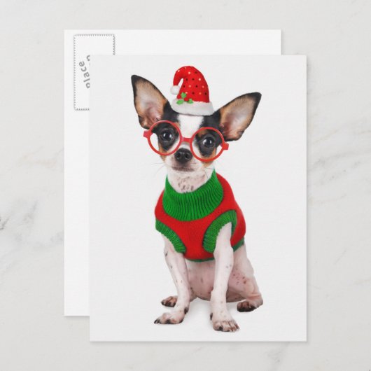 サンタ帽子およびガラスを持つチワワ シーズンポストカード (正面/裏面)