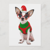 サンタ帽子およびガラスを持つチワワ シーズンポストカード (正面)