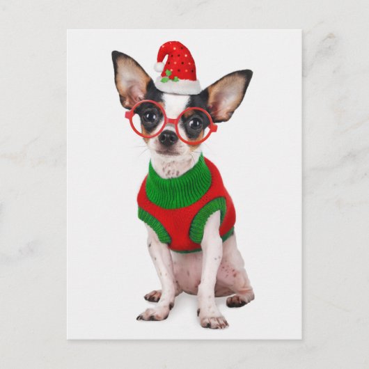 サンタ帽子およびガラスを持つチワワ シーズンポストカード (正面)