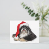 サンタ帽子と美しいクリスマスハバナの犬 シーズンポストカード (スタンド正面)