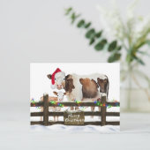 サンタ帽子の水色クリスマス牛 シーズンポストカード (スタンド正面)