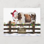 サンタ帽子の水色クリスマス牛 シーズンポストカード (正面)