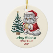 サンタ帽子の猫のクリスマスツリー オーナメント 名前入り (正面)