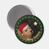 サンタ帽子をかぶった子犬「メリークリスマス」 マグネット (正面/裏面)