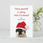 サンタ帽子をかぶった猫 シーズンカード (スタンド正面)