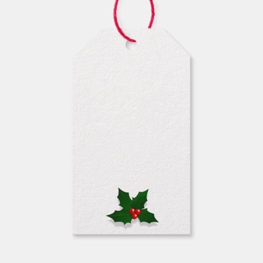 サンタ帽子クリスマスギフトを着たデュシュントラベル ギフトタグ (裏面)