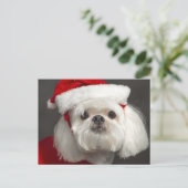 サンタ扱いにくい犬 シーズンポストカード (スタンド正面)