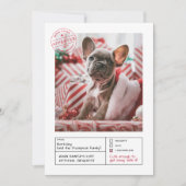 サンタ承認いけなまたは素敵な型枠写真 シーズンカード (正面)