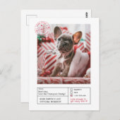 サンタ承認いけなまたは素敵な型枠写真 ポストカード (正面/裏面)