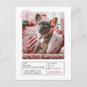 サンタ承認いけなまたは素敵な型枠写真 ポストカード (正面)