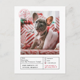 サンタ承認いけなまたは素敵な型枠写真 ポストカード