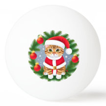 サンタ服を着たかわいいタビー猫